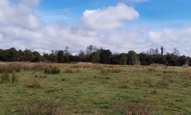 Se vende hermoso campo de 40 hectáreas en el sector Iñaqui, a solo 15 minutos del aeropuerto y 25 minutos del centro de Valdivia