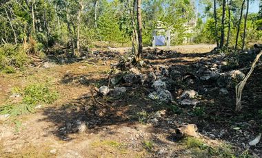 TERRENO RESIDENCIAL 160M2