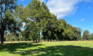 Hermosas Parcelas en venta ubicadas a la salida norte de Valdivia