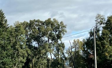 Hermosas Parcelas en venta ubicadas a la salida norte de Valdivia