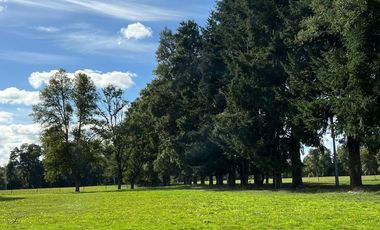 Hermosas Parcelas en venta ubicadas a la salida norte de Valdivia