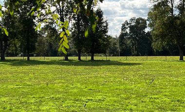 Hermosas Parcelas en venta ubicadas a la salida norte de Valdivia