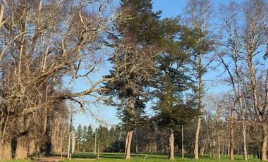 Hermosas Parcelas en venta ubicadas a la salida norte de Valdivia