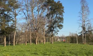 Hermosas Parcelas en venta ubicadas a la salida norte de Valdivia