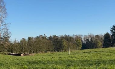 Hermosas Parcelas en venta ubicadas a la salida norte de Valdivia