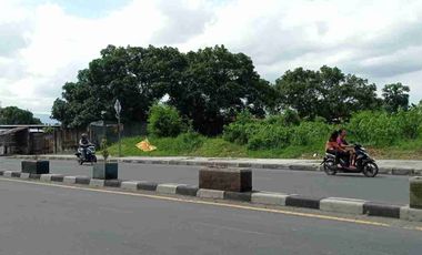 Tanah Disewakan