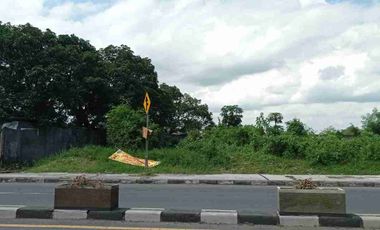 Tanah Disewakan