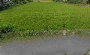 Dijual Tanah Strategis Area Jl. Wonosari KM 10 di Sitimulyo, Piyungan