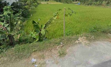 Dijual Tanah Strategis Area Jl. Wonosari KM 10 di Sitimulyo, Piyungan