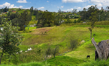 Terreno en venta en San Miguel de Cojitambo, Quimandel