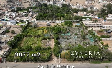 Terreno Estratégico Lurín Lima | 9,977 m² | Logística, Corporativo o Proyecto Residencial