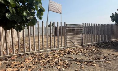 🌅📍 TERRENOS EN VENTA – KM 90 PANAMERICANA SUR 📍🌅