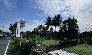 TANAH DI LOKASI STRATEGIS SLEMAN DI JL. PALAGAN TENTARA PELAJAR