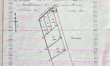 Single house in the heart of Udon Thani Big land 196 sq m.
