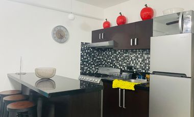 Departamento en Renta en el Centro de Playa del Carmen