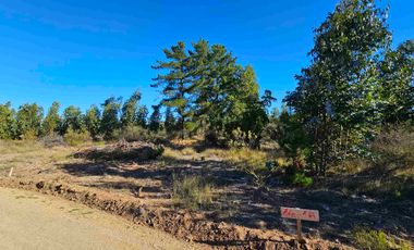 Parcela a 40 Minutos de Pichilemu!!!
