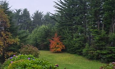 ARRIENDO  Parcela con casa 4D 4B + Servicios, Puerto Varas