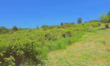 Venta Terreno 5000 M2 – Rol propio - Vista Lago Panguipulli