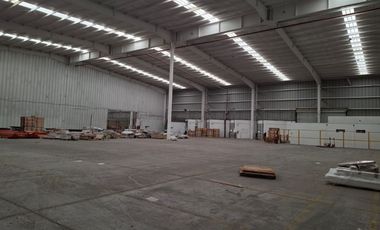 Nave industrial en Renta en San Pedro Barrientos Tlalnepantla