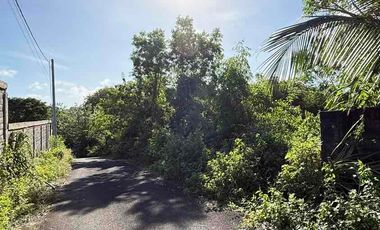 DIJUAL TANAH MURAH STRATEGIS – KUTUH, BADUNG, BALI