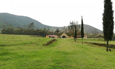 VENTA TERRENO CALACALI 29.9 HA. INCLUYE 8 HA PLANAS. ESTUDIO FOTOVOLTAICO