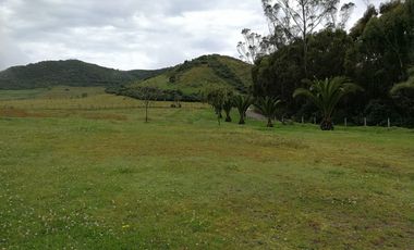 VENTA TERRENO CALACALI 29.9 HA. INCLUYE 8 HA PLANAS. ESTUDIO FOTOVOLTAICO
