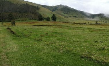 VENTA TERRENO CALACALI 29.9 HA. INCLUYE 8 HA PLANAS. ESTUDIO FOTOVOLTAICO
