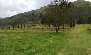 VENTA TERRENO CALACALI 29.9 HA. INCLUYE 8 HA PLANAS. ESTUDIO FOTOVOLTAICO