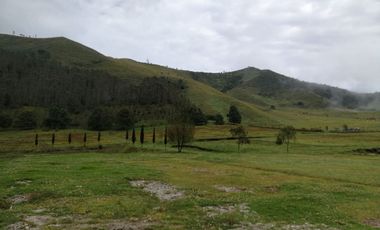 VENTA TERRENO CALACALI 29.9 HA. INCLUYE 8 HA PLANAS. ESTUDIO FOTOVOLTAICO