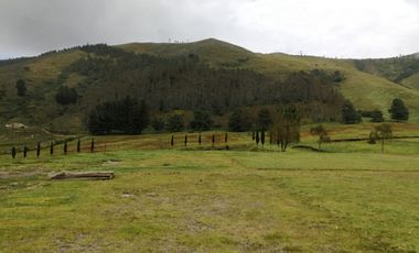 VENTA TERRENO CALACALI 29.9 HA. INCLUYE 8 HA PLANAS. ESTUDIO FOTOVOLTAICO