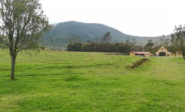 VENTA TERRENO CALACALI 29.9 HA. INCLUYE 8 HA PLANAS. ESTUDIO FOTOVOLTAICO