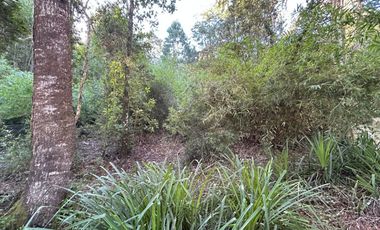 Se vende parcela en Condominio El Colmenar – Valdivia