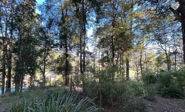 Se vende parcela en Condominio El Colmenar – Valdivia