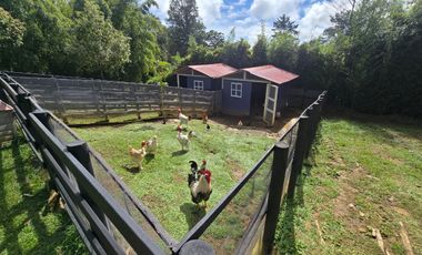 VENTA CASA CAMPESTRE RIO NEGRO VEREDA RANCHERIAS