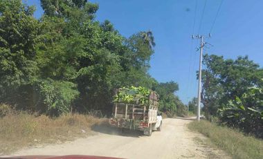 487.21 Hectáreas cerca del Aeropuerto Mzo.