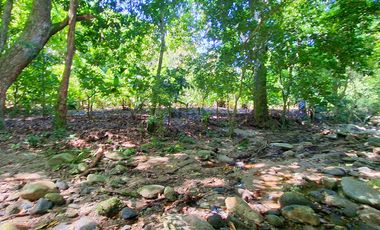Casa Finca en Venta en San Rafael, Parque Tayrona, Santa Marta