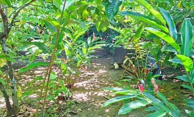 Casa Finca en Venta en San Rafael, Parque Tayrona, Santa Marta