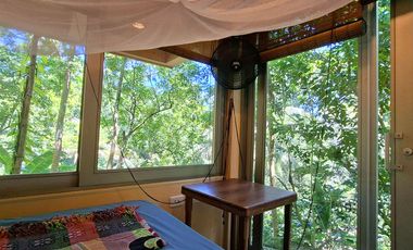 Casa Finca en Venta en San Rafael, Parque Tayrona, Santa Marta