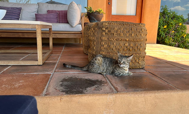CASA EN RENTA EN LA PEÑA: EL VERDADERO LUJO DE VIVIR VALLE DE BRAVO