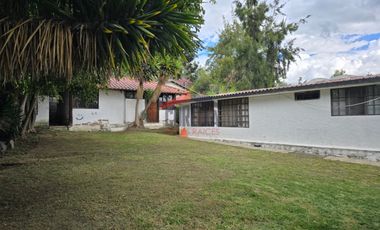 Venta Quinta en Puembo, cerca al Colegio Alberto Einstein, Área Terreno 1.406 M2, PRECIO: $245.000