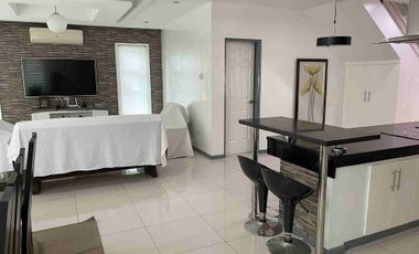 Two storey modern house for sale with big garden (fully furnished)