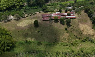 Finca en venta vía pueblo Tapao Quindío