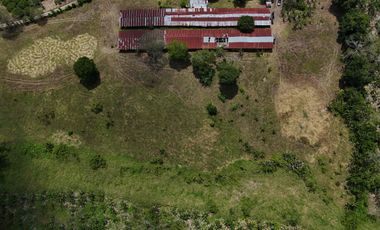 Finca en venta vía pueblo Tapao Quindío