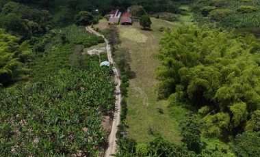 Finca en venta vía pueblo Tapao Quindío