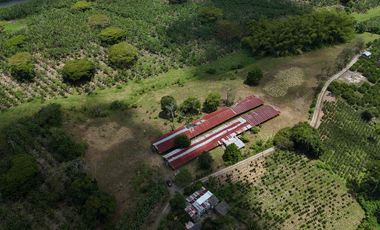 Finca en venta vía pueblo Tapao Quindío