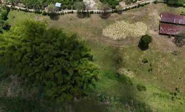 Finca en venta vía pueblo Tapao Quindío