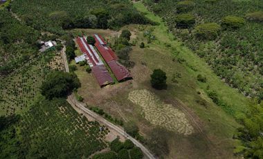 Finca en venta vía pueblo Tapao Quindío