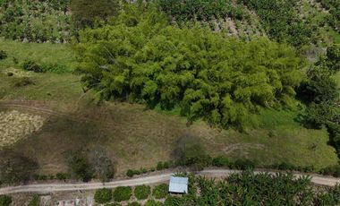 Finca en venta vía pueblo Tapao Quindío