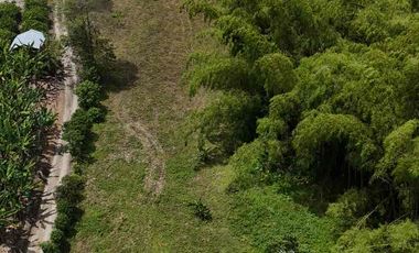 Finca en venta vía pueblo Tapao Quindío