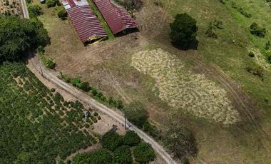 Finca en venta vía pueblo Tapao Quindío